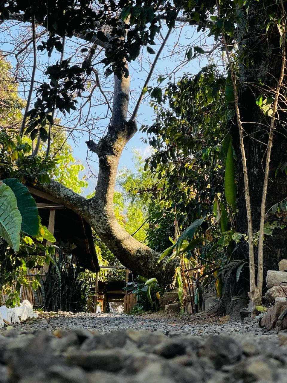 Posada Mana San Juan La Laguna Bagian luar foto