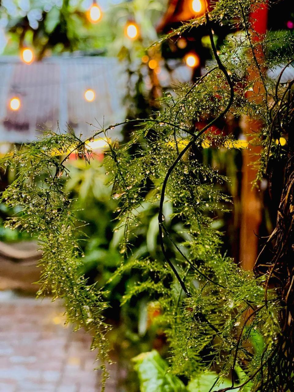 Posada Mana San Juan La Laguna Bagian luar foto